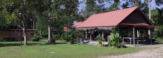 murni camp 3 tips from 419 visitors
