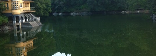 鎌北湖 Lake In 毛呂山町 鎌北湖 Lake In 毛呂山町