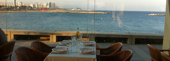 El Cangrejo Loco Seafood Restaurant In Barcelona