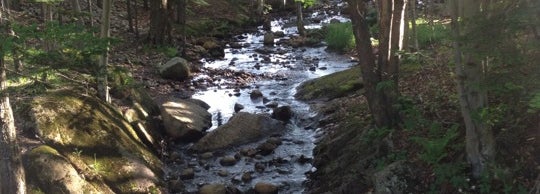 Old Forge Camping Resort - 7 tips from 369 visitors