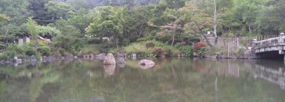 円山公園 東山区 35 Tips From 8526 Visitors