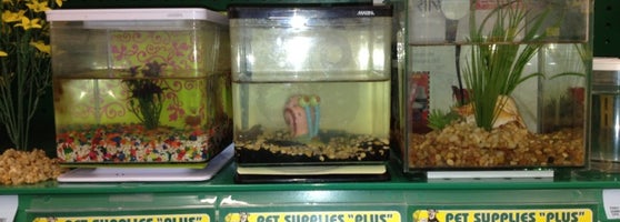 Pet Supplies Plus Lakewood Pet Store In Lakewood