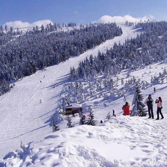 ski-area