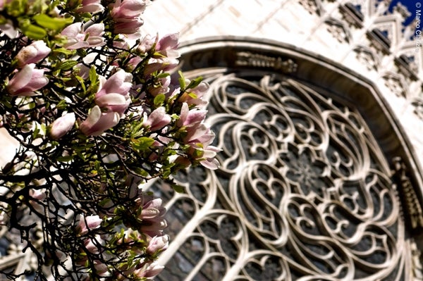 church