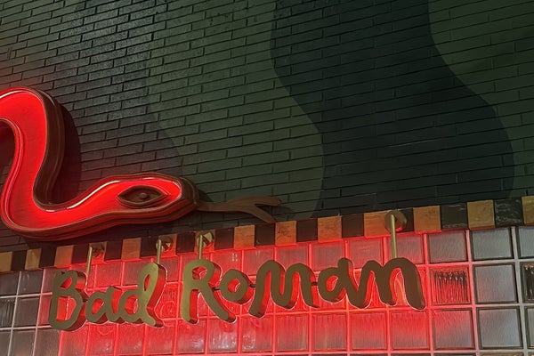 Bad Roman