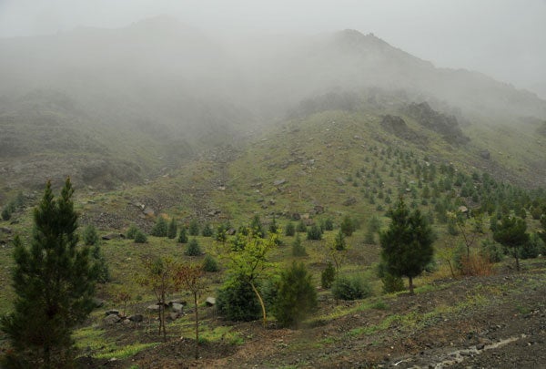 mountain