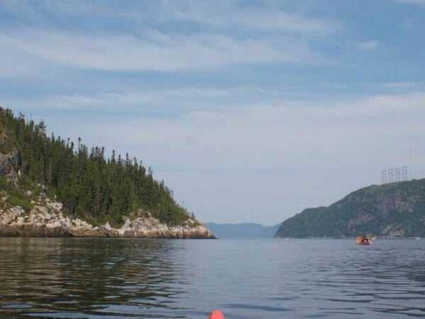 Saguenay–St. Lawrence Marine Park