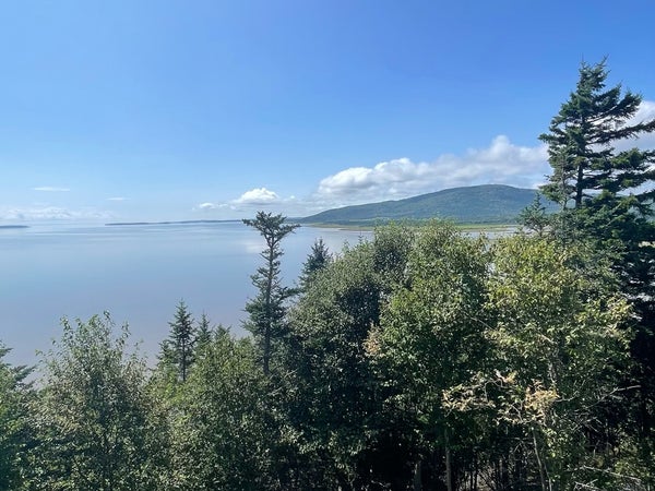 Hopewell Rocks (Bay of Fundy) - Image 1