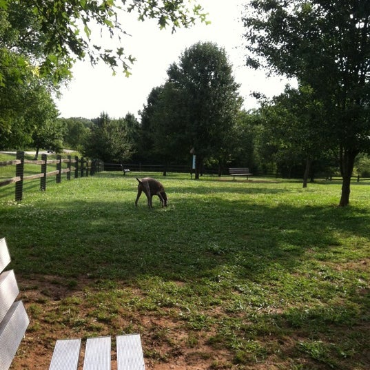 Greenway Dog Park Northgate Big Ridge 7 Tips