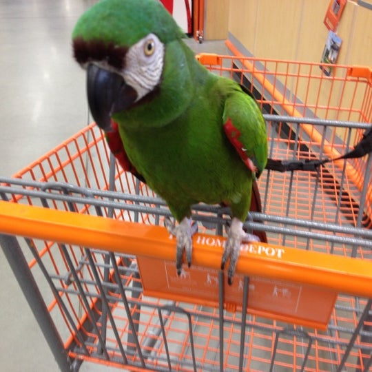 The Home Depot Port Charlotte'de Hırdavat Mağazası