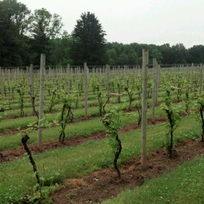 Photo taken at Crossing Vineyards and Winery by Erika H. on 5/27/2012