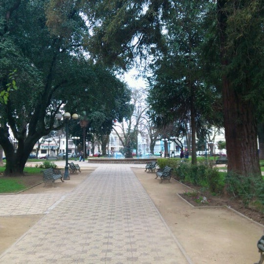 Fotos En Plaza De Armas De Linares Independencia