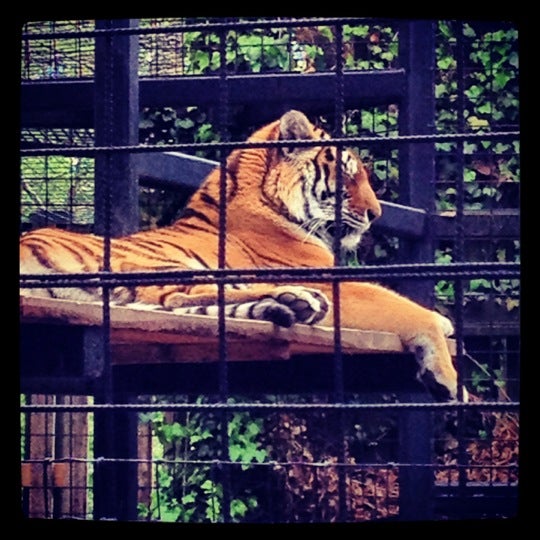 Foto scattata a Brandywine Zoo da Jessica W. il 4/27/2012