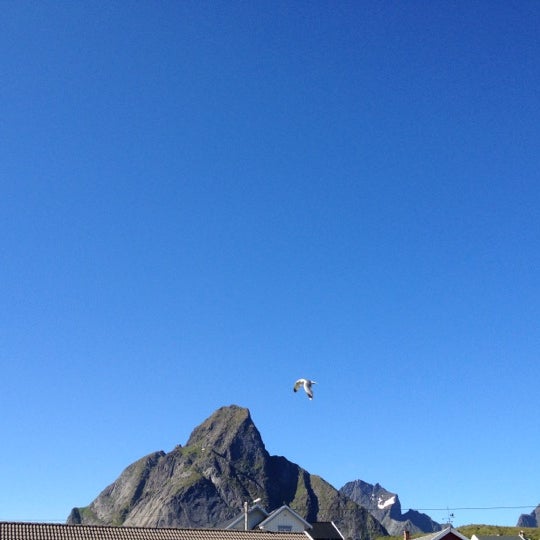 Reine 3 tips from 612 visitors