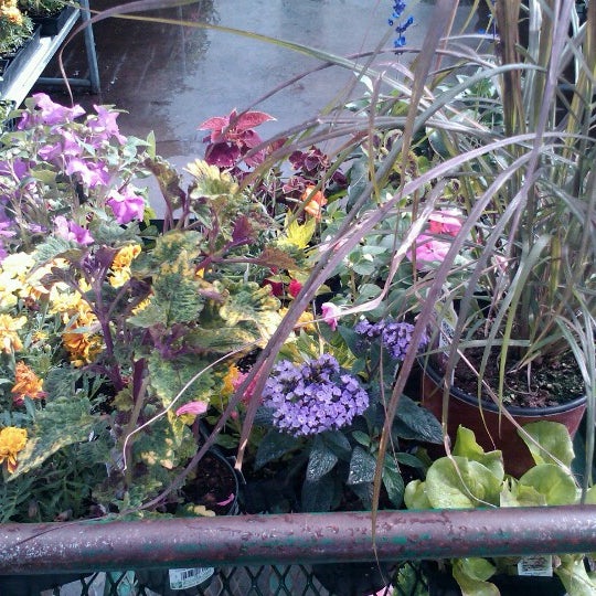 Art Knapp's Plantland & Florist Prince BC