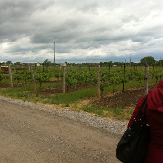 6/2/2012 tarihinde Mike B.ziyaretçi tarafından Stoney Ridge Estate Winery'de çekilen fotoğraf