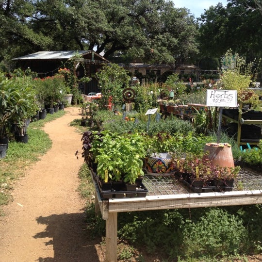 Rolling In Thyme & Dough Dripping Springs, TX