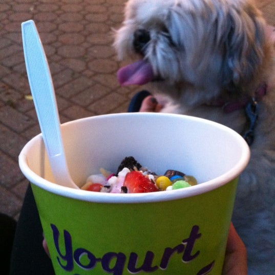 Photo prise au Yogurt Oasis par Beiley K. le5/17/2012