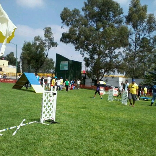 Fotos en Liga De Baseball Anahuac! Ciudad de México, Distrito Federal