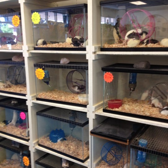 animal house pet store