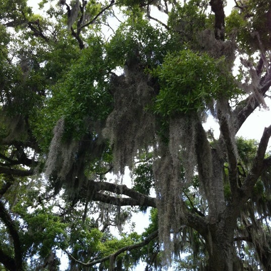 Photo taken at Jekyll Island State Park by Adriana on 7/15/2012