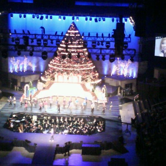 Sevier Heights Christmas 2022 Photos At Sevier Heights Living Christmas Tree - University Of Tennessee -  Knoxville, Tn