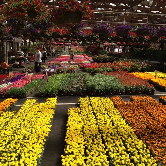 Maple Grove Nursery Flower Store