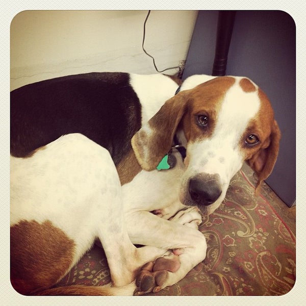 Photos at Outdoor Gear Exchange Sporting Goods Shop in Burlington