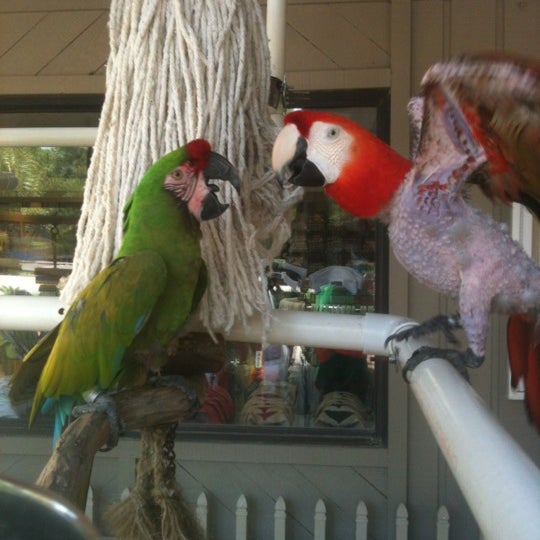 The Salty Dog TShirt Factory Hilton Head Island, SC