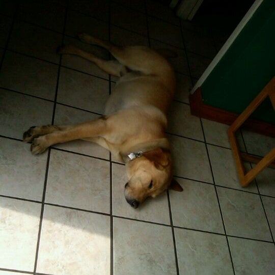 Japanese Motor Works 3 tips