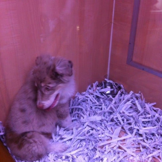 Safari Pet Centre (Now Closed) Pet Supplies Store in Vaughan