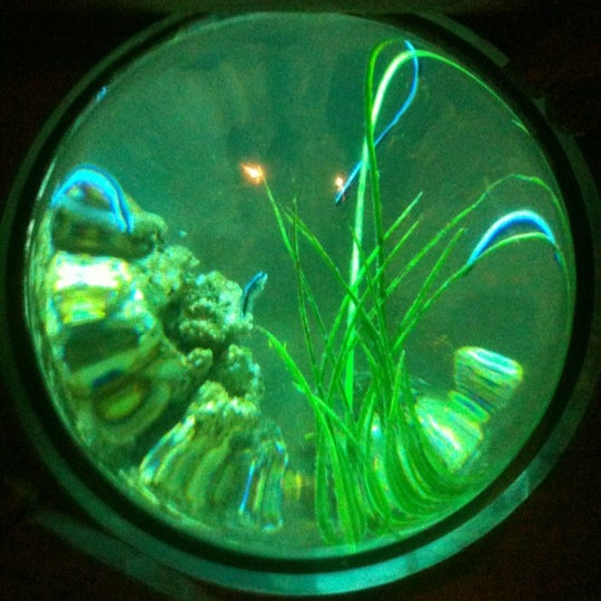 Снимок сделан в SEA LIFE Grapevine Aquarium пользователем Bradley K. 3/11/2012
