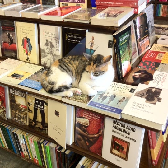 2/27/2012にmikiがLibrería El Virreyで撮った写真