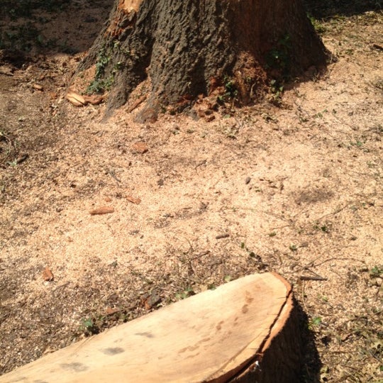 Strasburg Community Library Strasburg, VA