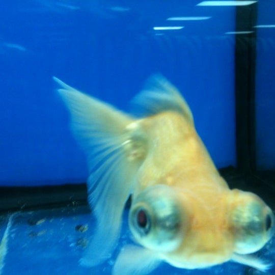 speck's pet supplies