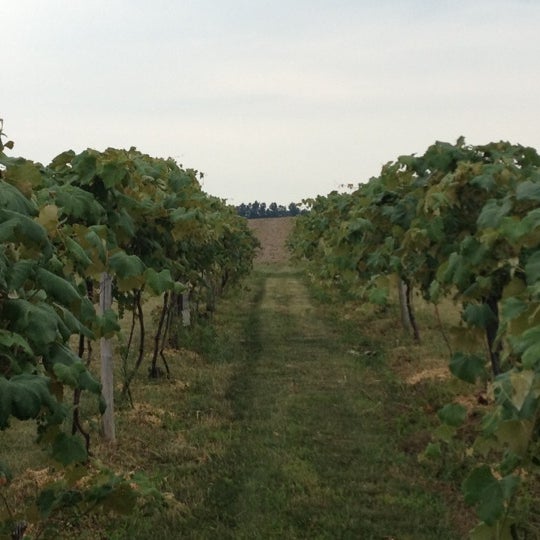 Foto tirada no(a) Hunt Country Vineyards por Meg C. em 7/3/2012
