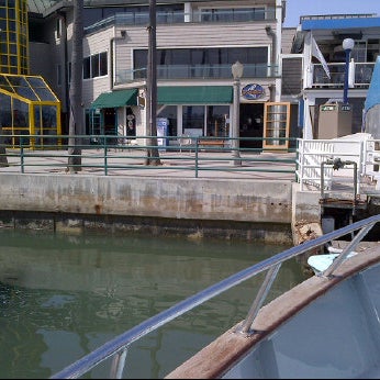 5/20/2012にEric B.がNewport Landing Whale Watchingで撮った写真
