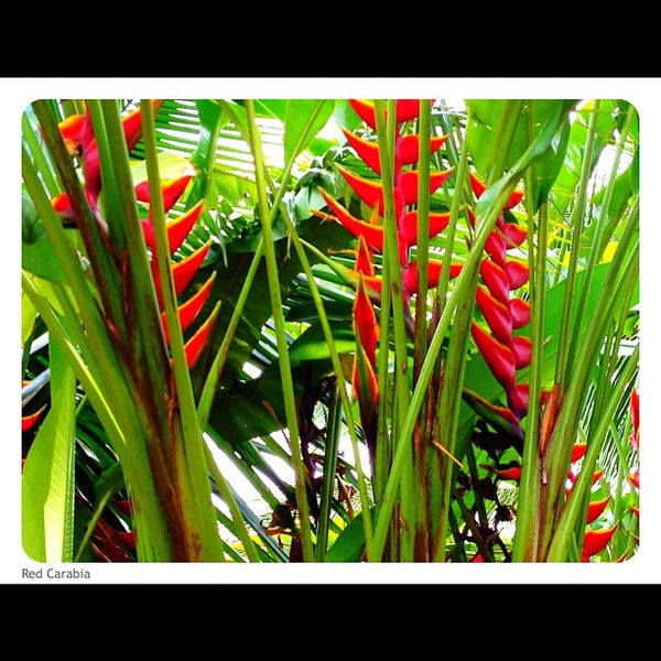 Photo taken at Honua Lani Gardens Kauai by Jai R. on 8/27/2012