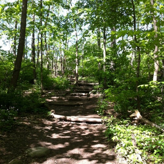 Bird Hills Park West Ann Arbor 6 tips from 246 visitors