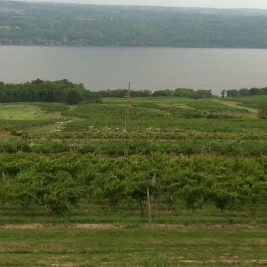 Foto tirada no(a) Atwater Estate Vineyards por Lance M. em 9/4/2012