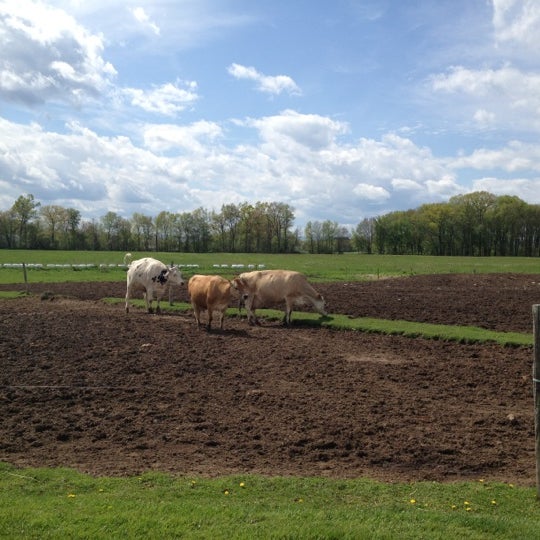 Photo taken at Flayvors of Cook Farm by Olga on 5/6/2012