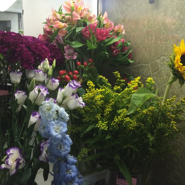 Цветок гавани. Цветущая поляна советская гавань. Цветущая поляна советская гавань. Castorland пазл бухта. Черное море весной.