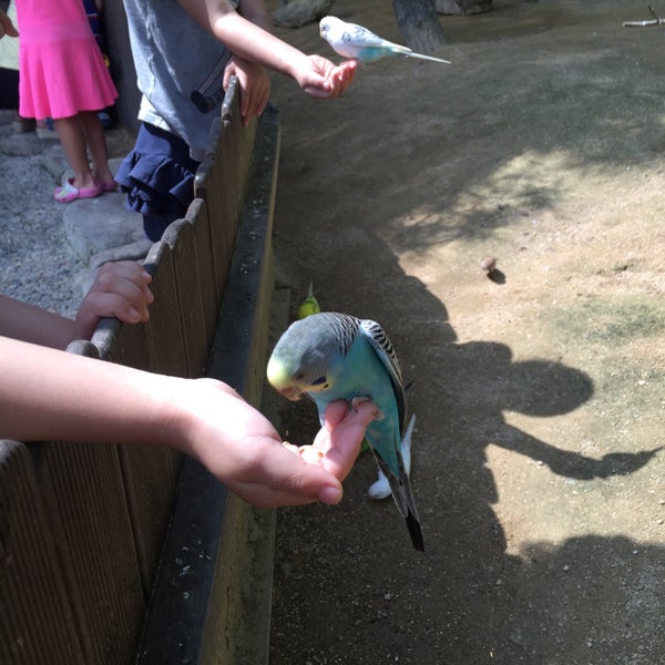 Sissy Island Petting Zoo