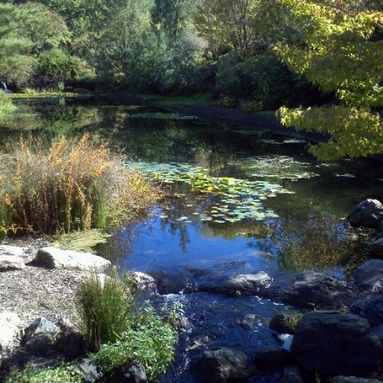 Photo taken at Quarryhill Botanical Garden by Matt V. on 11/4/2012