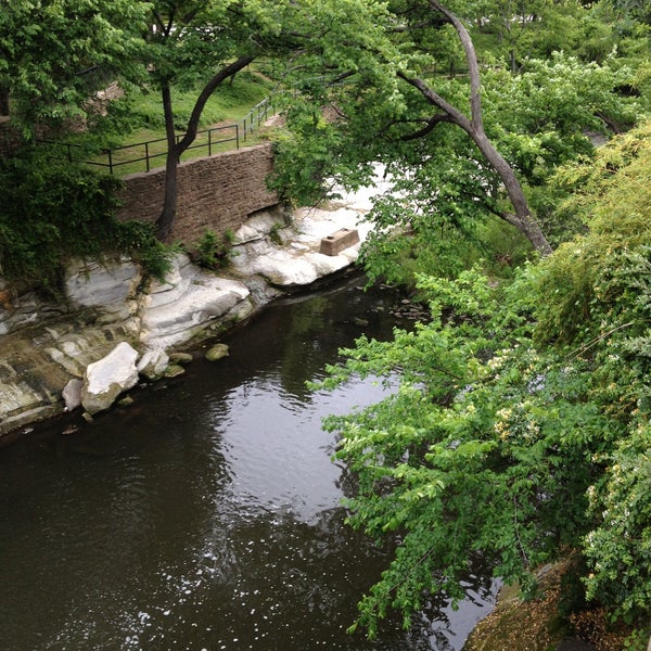 Spring creek. Spring creek