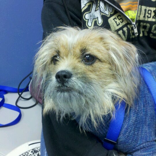 Wellborn Road Veterinary Medical Center Veterinarian in College Station