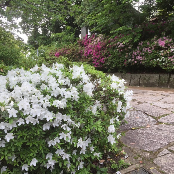鶴形山公園 Parque Em 倉敷市 鶴形山公園 Parque Em 倉敷市