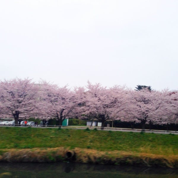 大宮第二公園 7個のtips