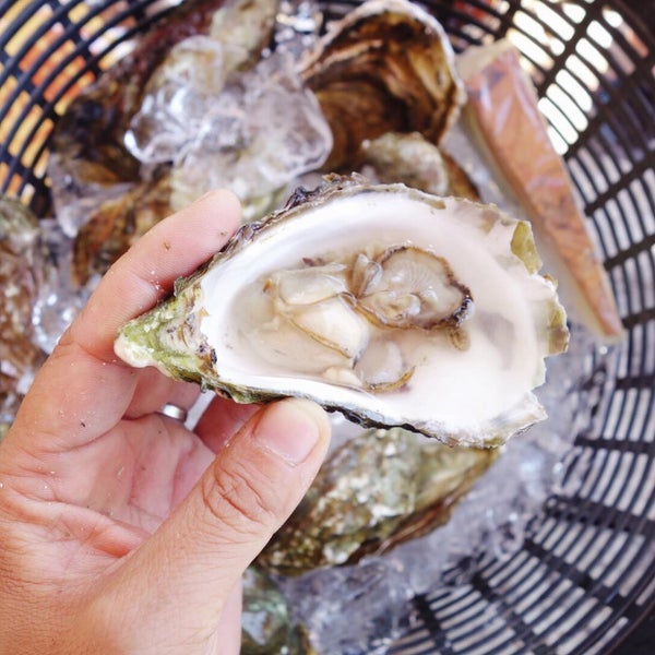 Photo taken at Tomales Bay Oyster Company by Kira on 8/16/2015