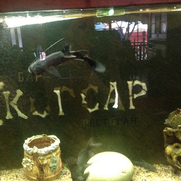 Кафе корсар лутугино